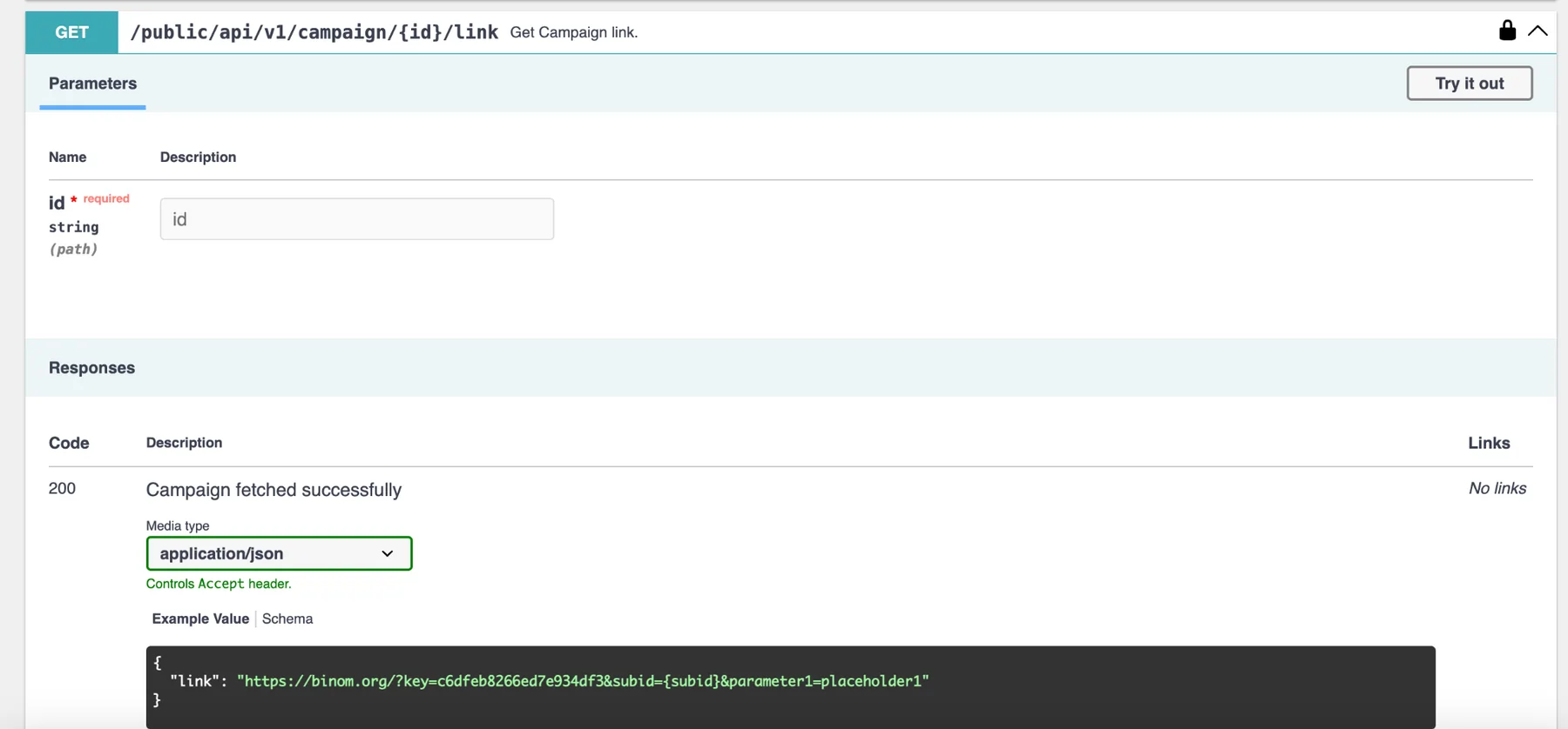 Campaign Management Through API Calls in Binom